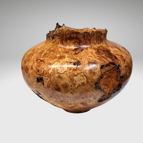 JW-220 Aspen Burl Hollow Woodturning 12x14 $1500 at Hunter Wolff Gallery